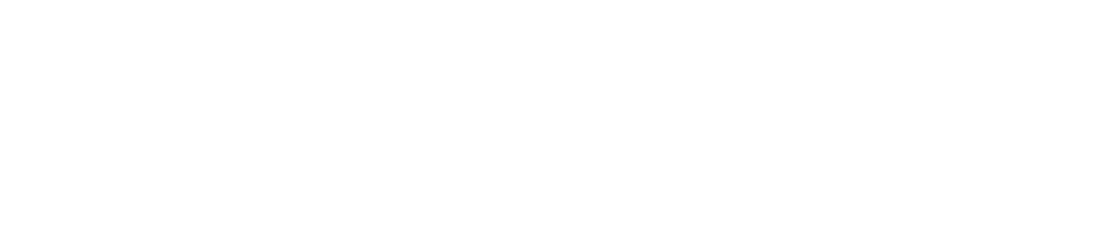 Altair SimLab