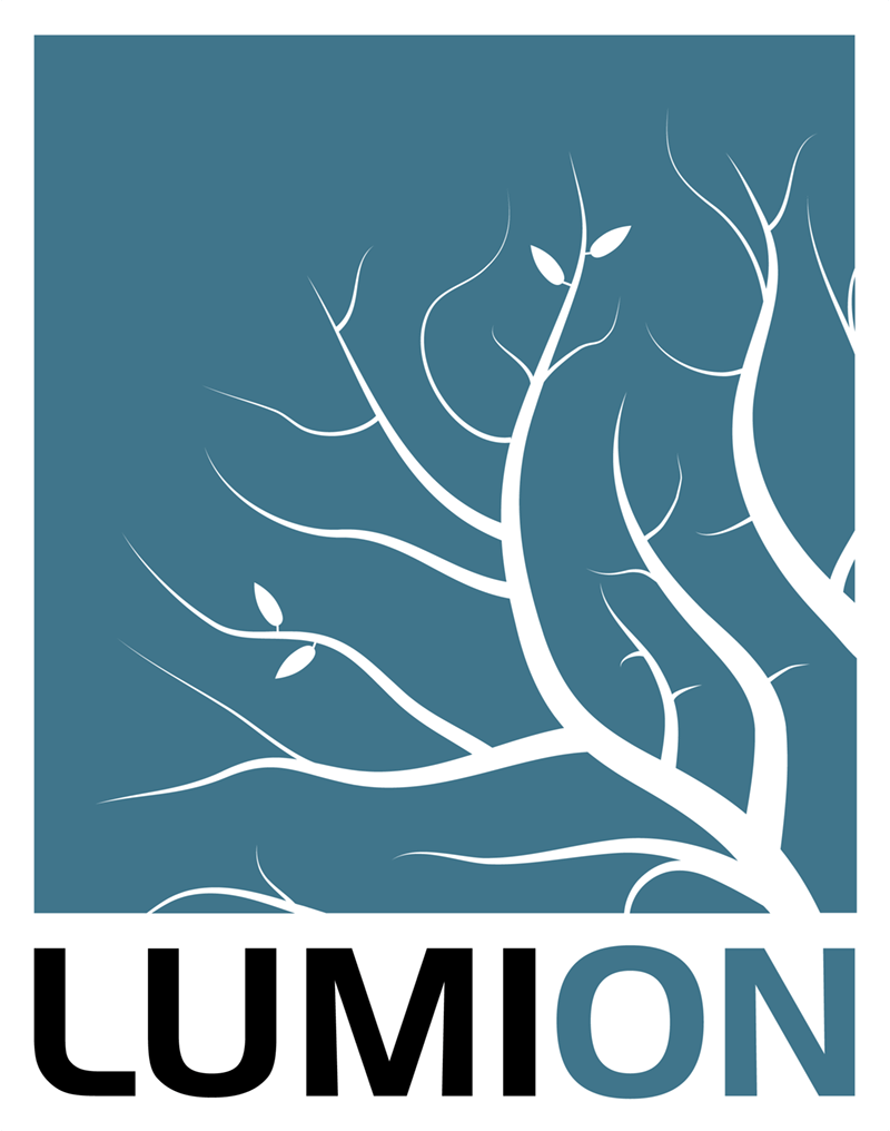 Lumion