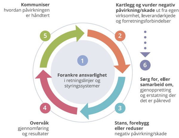 Rutine åpenhetsloven, bilde