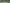 city-grenery-landscaping (1)