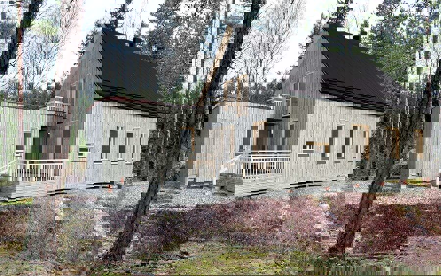 Spill av The Natural Design Company Video.
